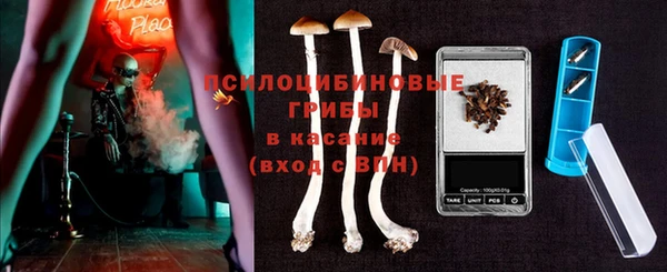 дмт Алзамай